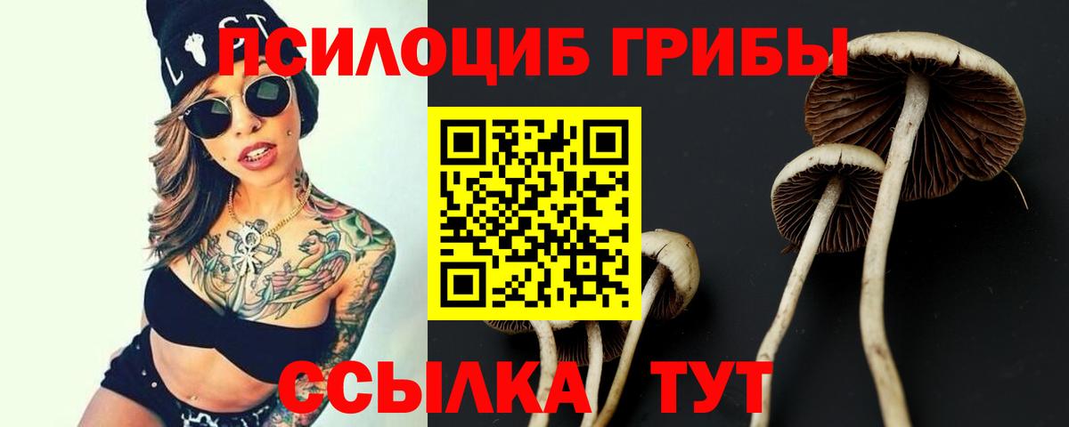 Псилоцибиновые грибы ЛСД Ноябрьск
